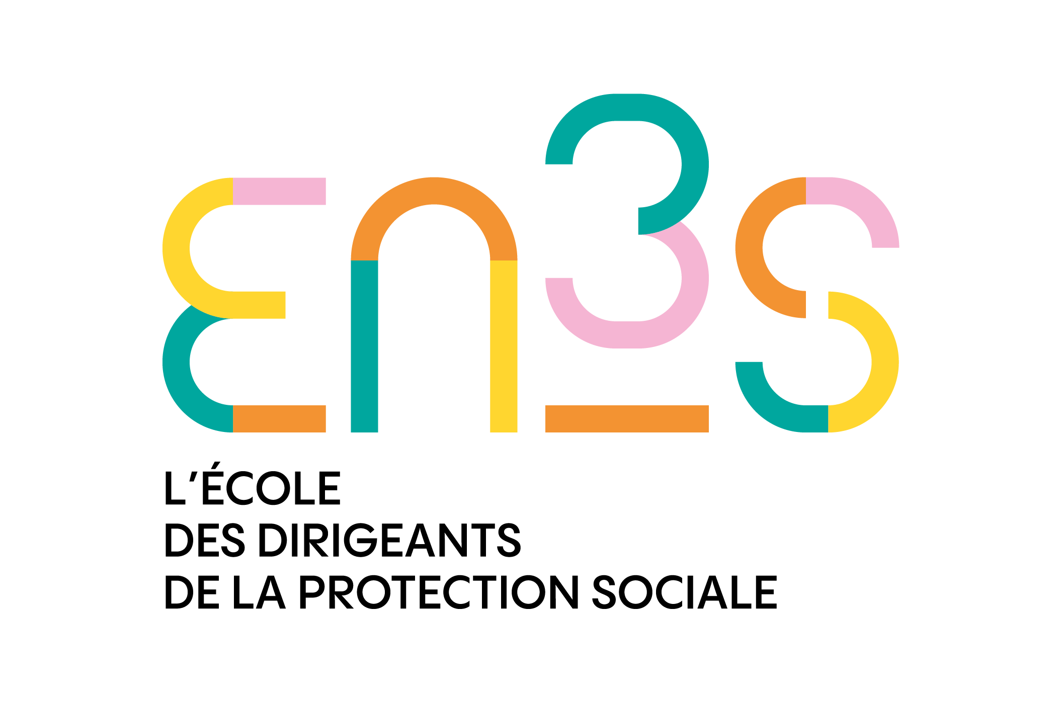 Logo EN3S