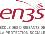 Logo EN3S